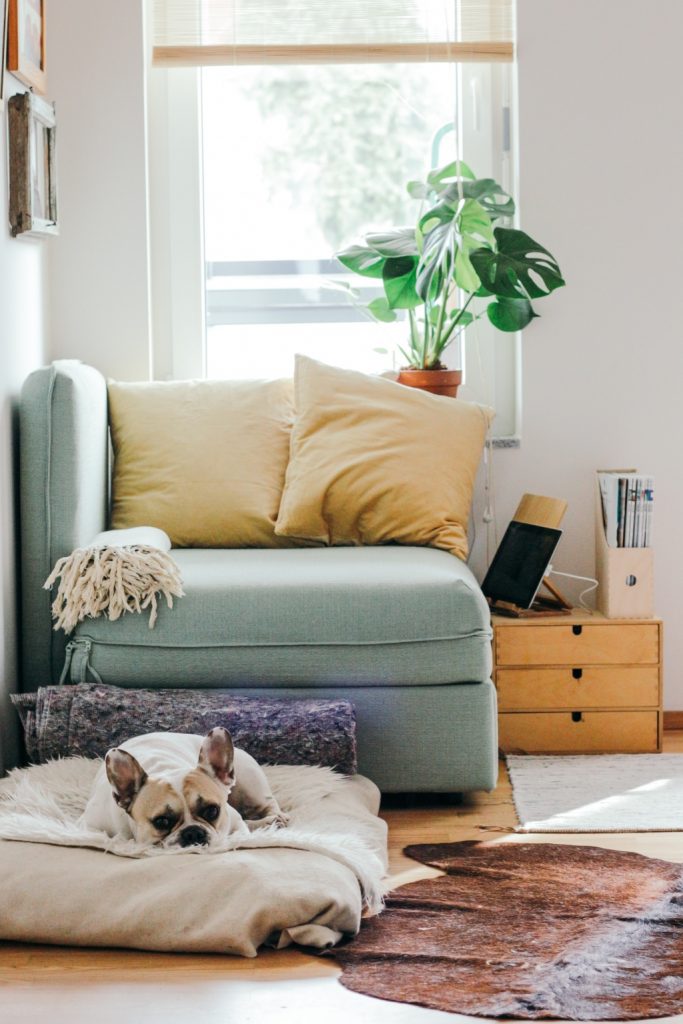 Home Basics